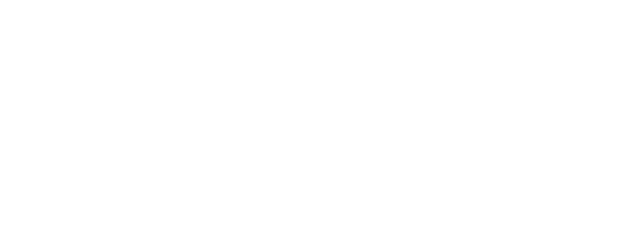 The Gate Experience